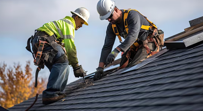 Roofing Professionals